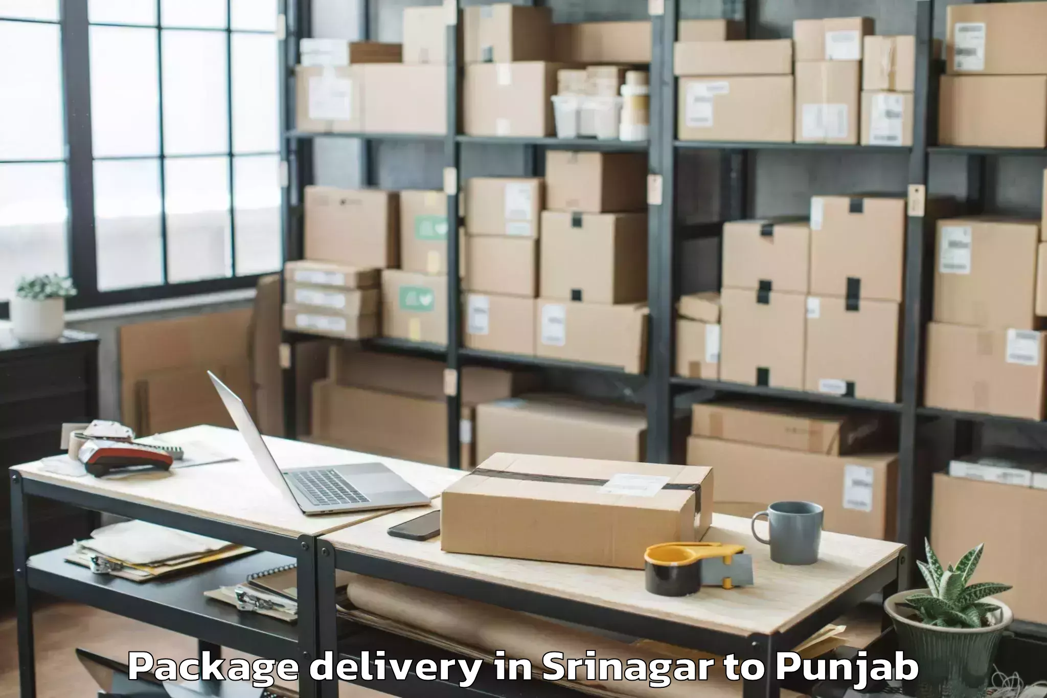 Reliable Srinagar to Jaitu Package Delivery